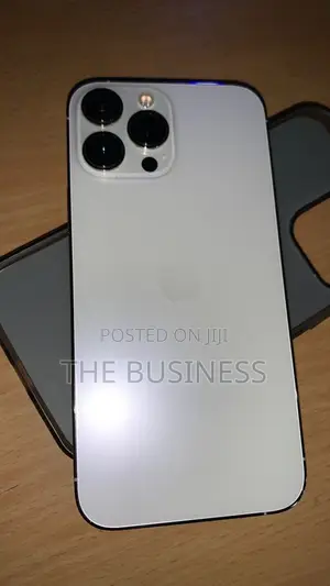Apple iPhone 13 Pro Max 256 GB Gray