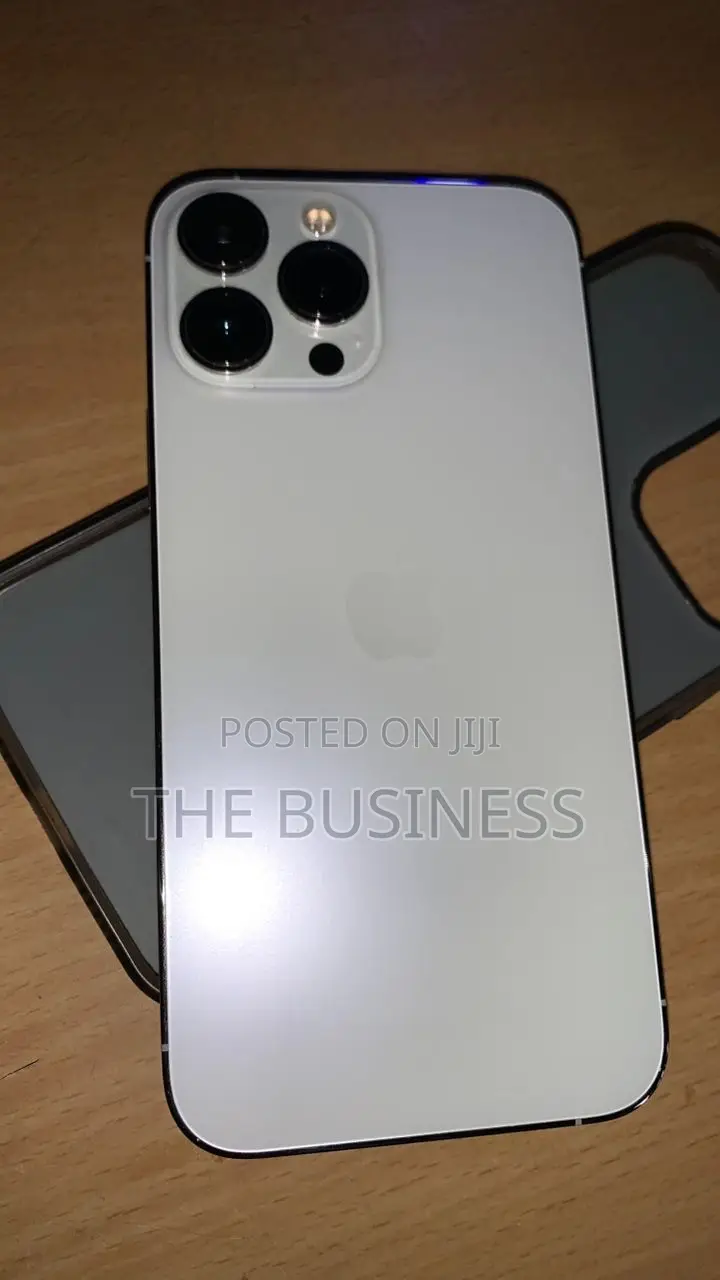 Apple iPhone 13 Pro Max 256 GB Gray