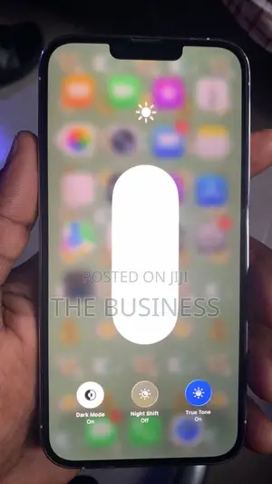 Apple iPhone 13 Pro Max 256 GB Gray