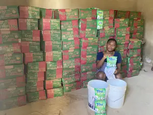 Viva Detergent and Soklin Washing Powder