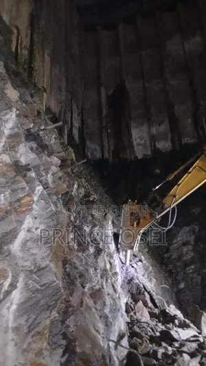 Jackhammer Excavator for Rent