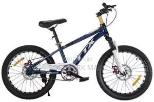 22" Mountain Bicycle (9 To 16 Yrs)