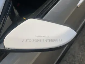 Honda Civic Hunchback Mirror Cover