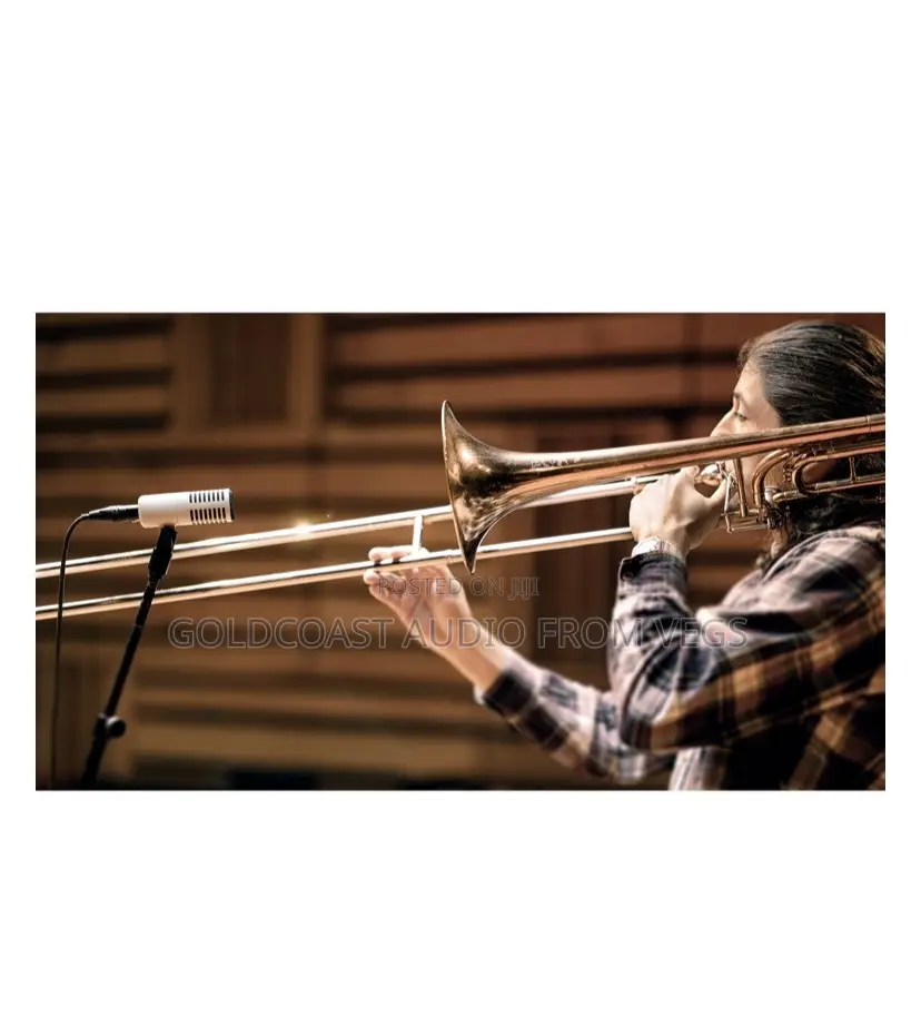 Universal Audio Sd-7 Dynamic Microphone With Hemisphere Modeling