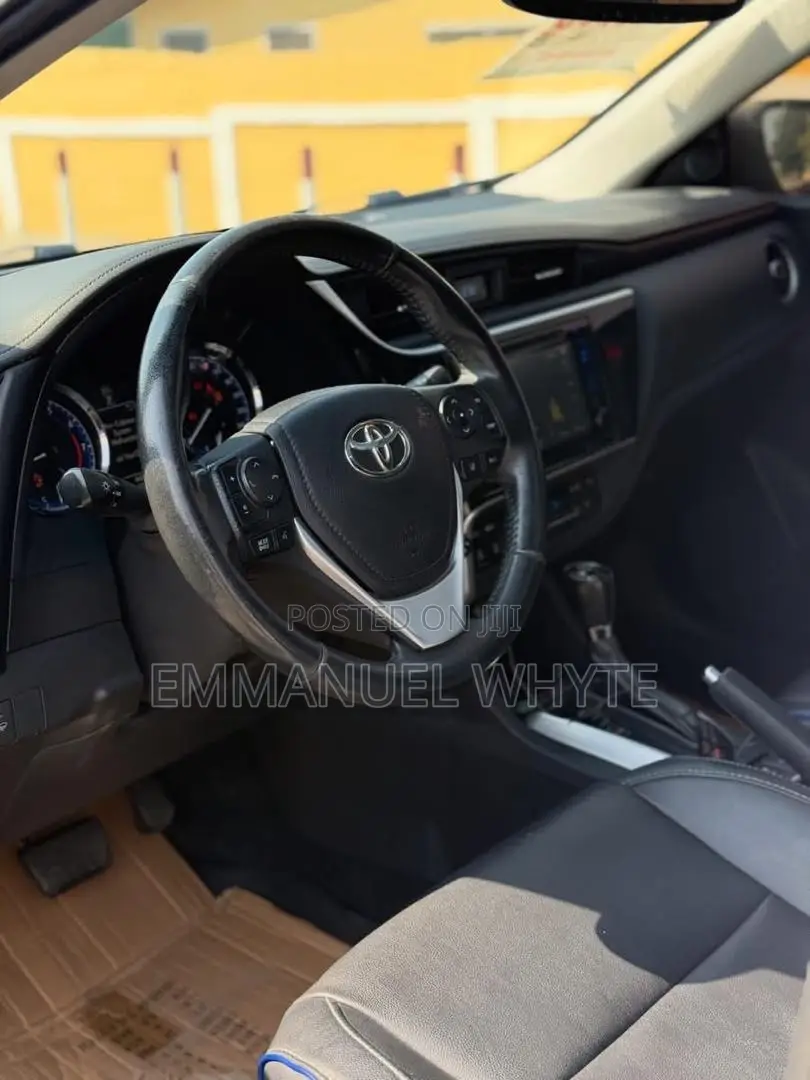 Car Rentals