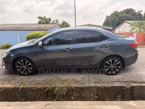 Car Rentals