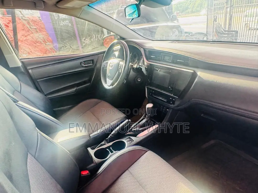 Car Rentals