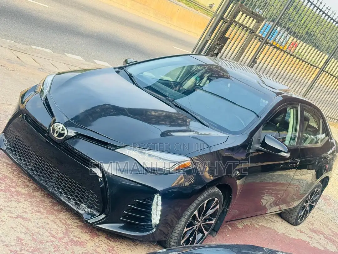 Car Rentals