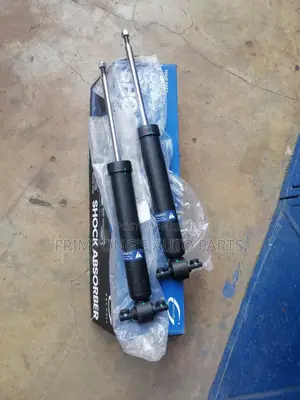 Ford Edge 2016 To 2020 Back Shocks Absorbers