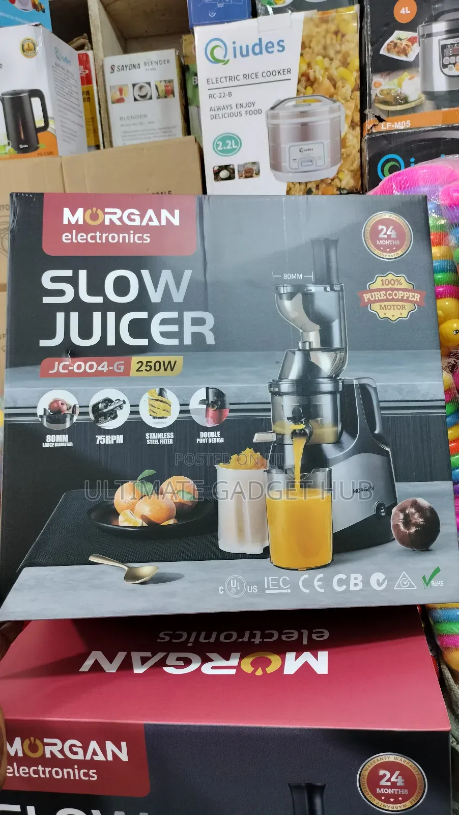 Slow Juicer (Morgan)
