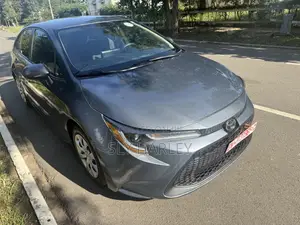 Toyota Corolla LE 2021 Gray
