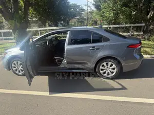 Toyota Corolla LE 2021 Gray