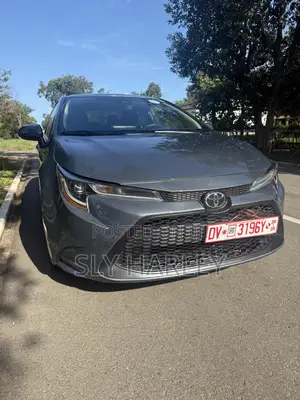 Toyota Corolla LE 2021 Gray