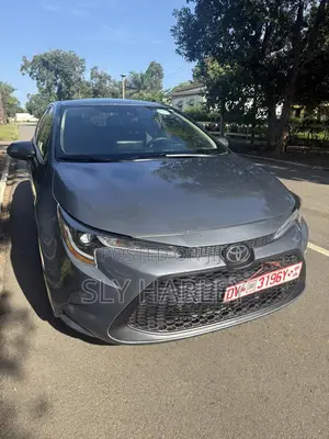 Toyota Corolla LE 2021 Gray