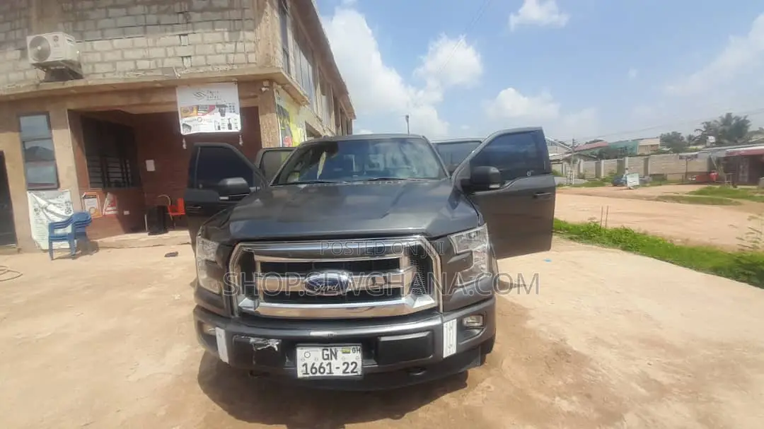 Ford F-150 2017 Gray