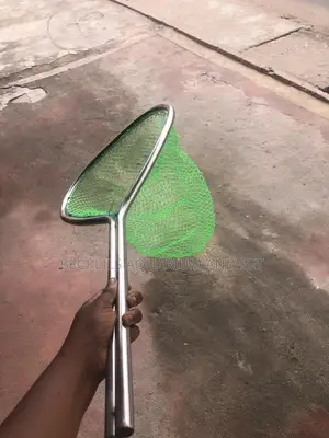 Quality Bigger Pond Net Available