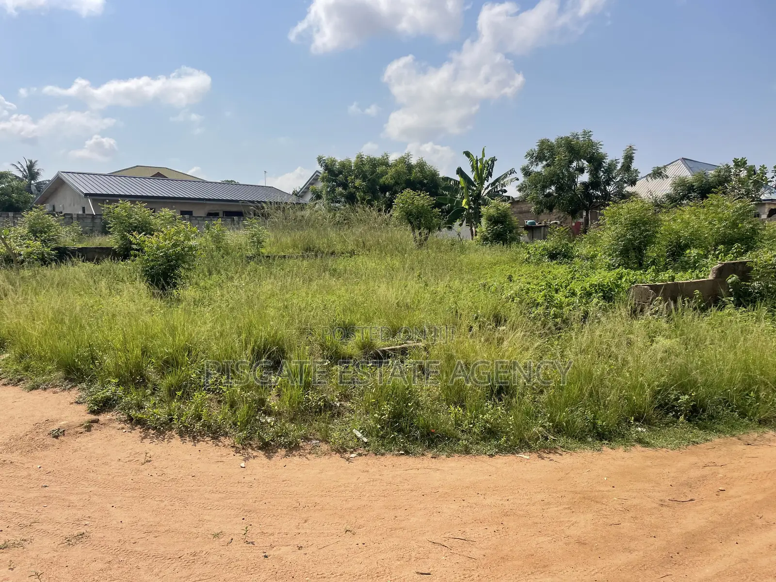 One Plot for Sale