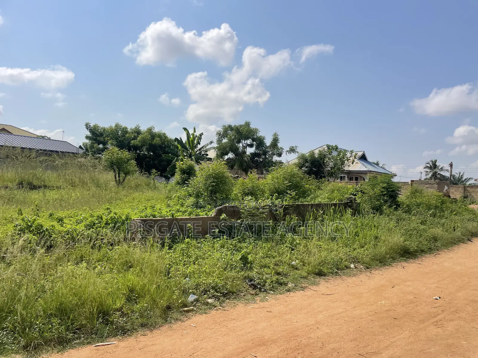 One Plot for Sale
