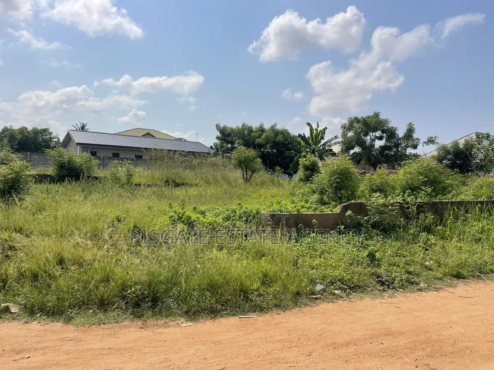 One Plot for Sale