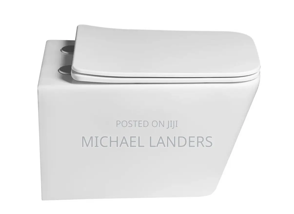 Concealed Wc Wall Toilet Seat