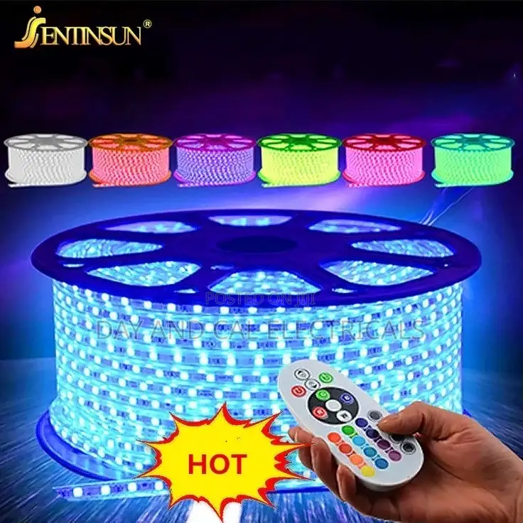 Ropelight 50m (Rgb) Remote (Up To 16 Colors+)