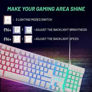 Skytech Gaming Classic RGB Gaming Mouse Keyboard Combo