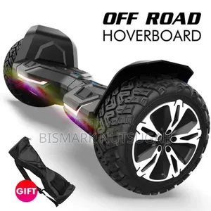 Self-Balance Hoverboard