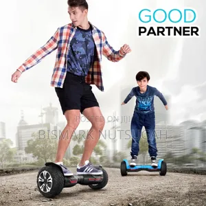 Self-Balance Hoverboard