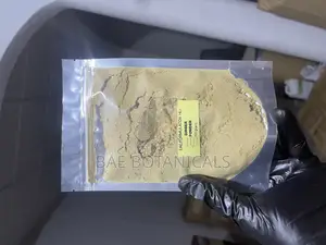 Ginger Powder (100 Grams)
