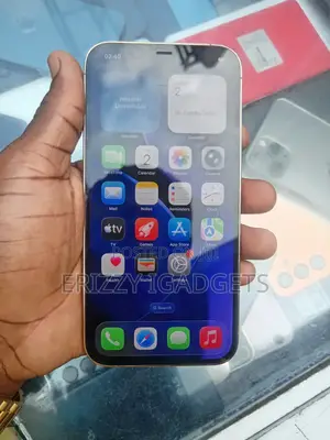 Apple iPhone 12 Pro Max 256 GB Gold