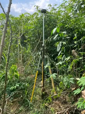 Professional Surveyor Available