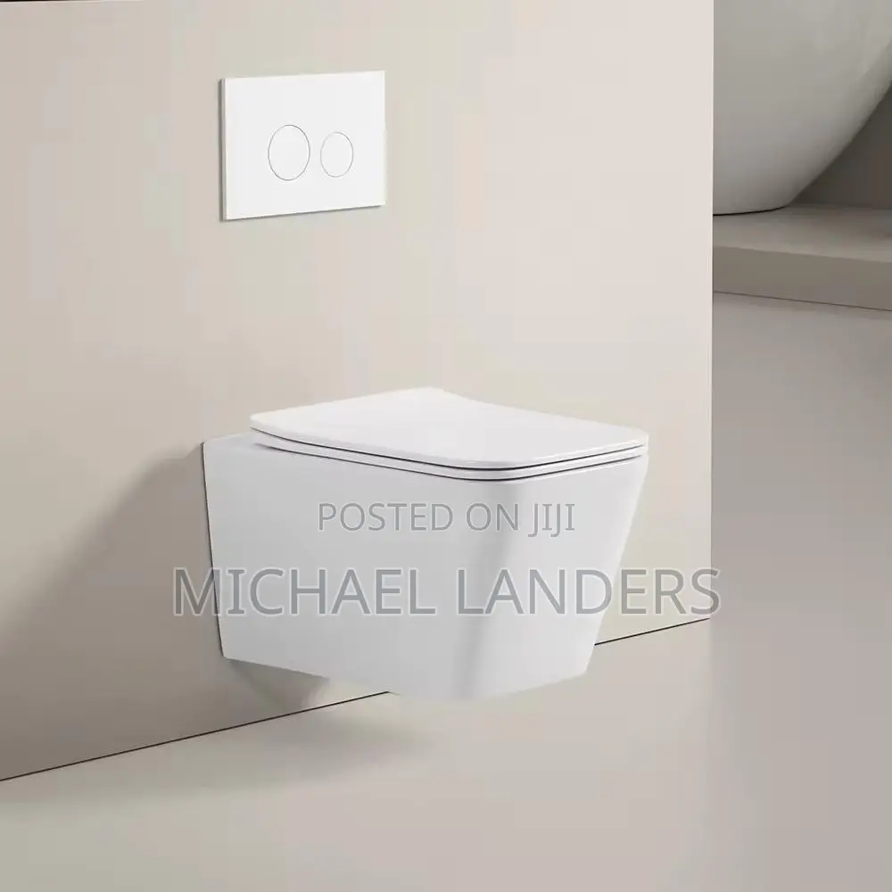 Concealed Wc Wall Toilet Seat