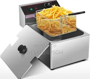 Electric Deep Fryer