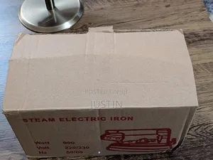 Steam Electric Iron