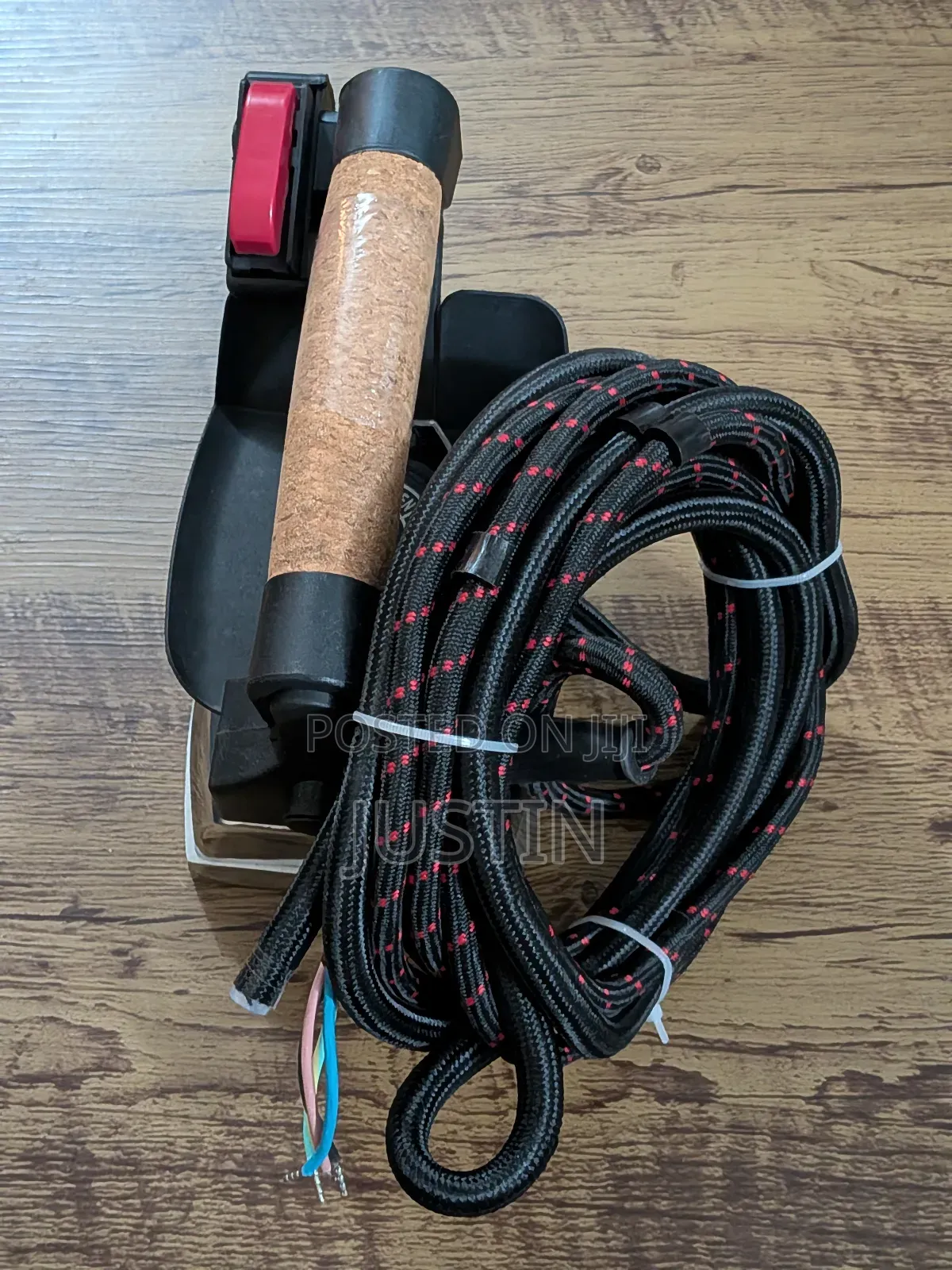 Steam Electric Iron
