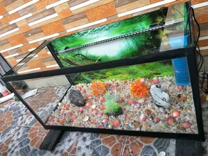 3 Feet Customize Aquarium Package With Accessories