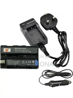 Dste Battery Charger for Sony Np-Fs11 Np-Fs21 Np-Fs31 Np-Fs12 Np-Fs22