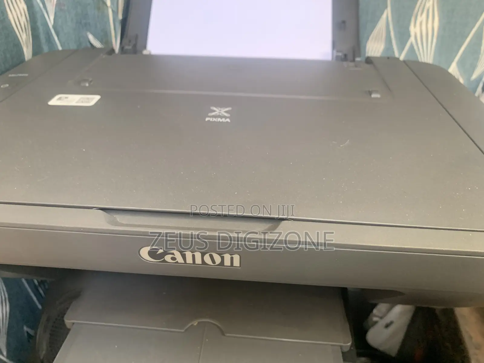 Canon Pixma Mg2541s