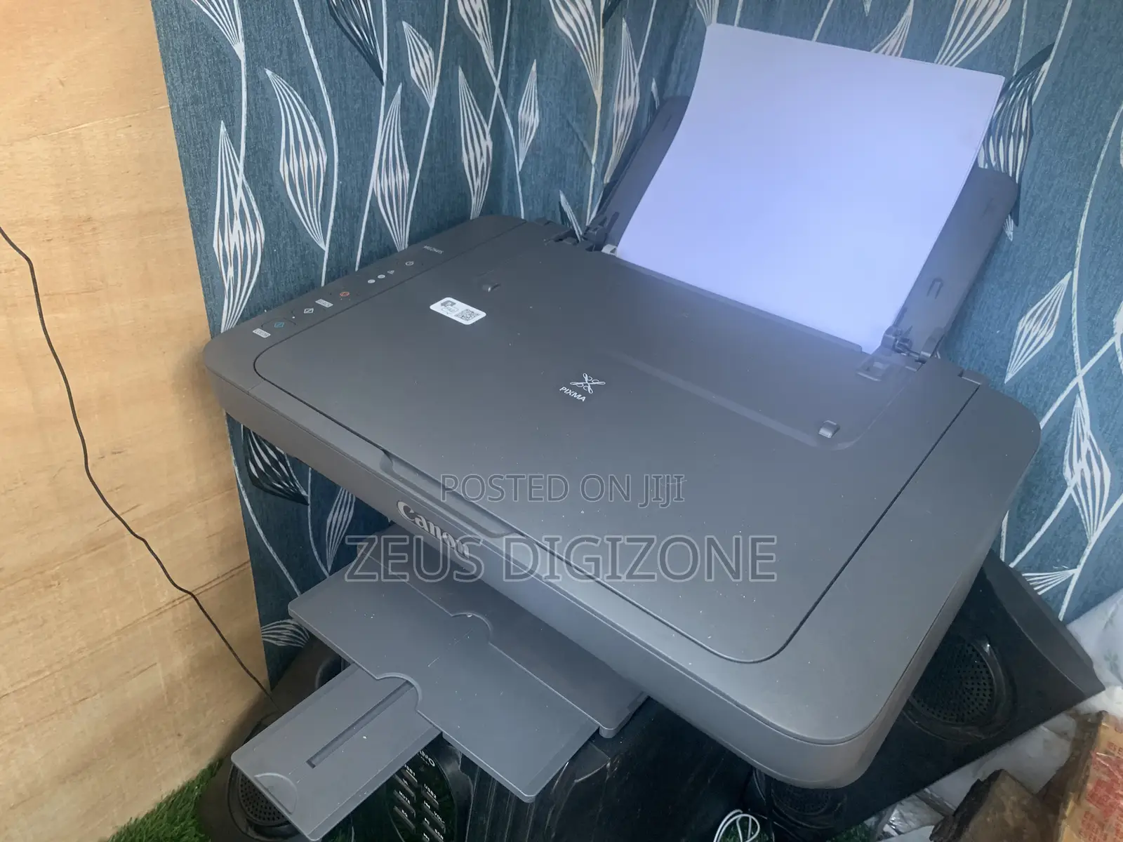 Canon Pixma Mg2541s