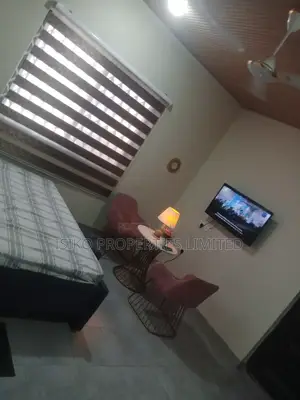 Furnished Studio Apartment in Vvilla Properties, Adam Nana for rent