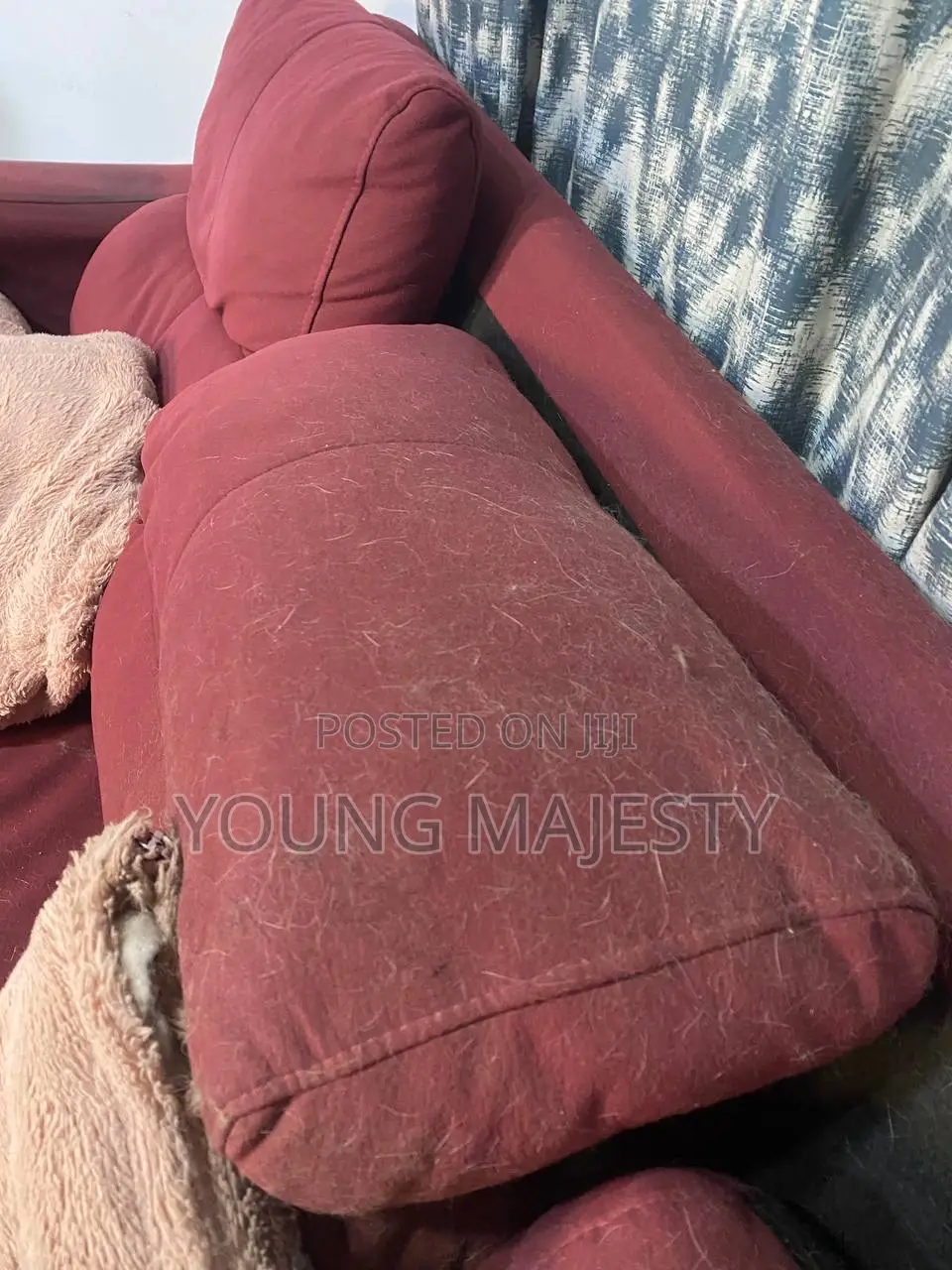 Sofa and Bed Cleaning Services