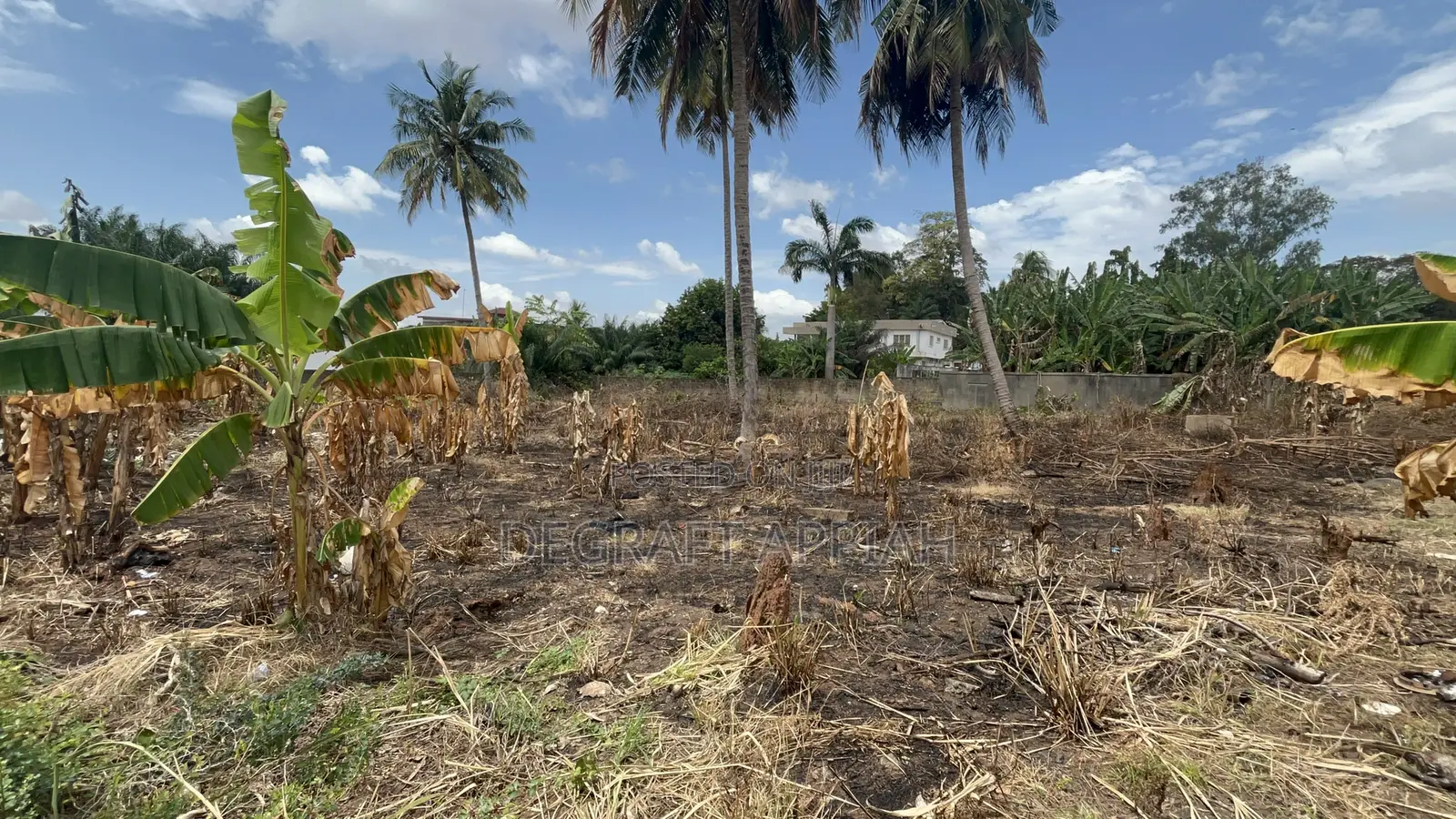 Prime Area 2 Half Plot for Sale at Ahodwo Nhyieso