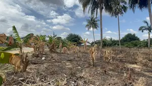 Prime Area 2 Half Plot for Sale at Ahodwo Nhyieso