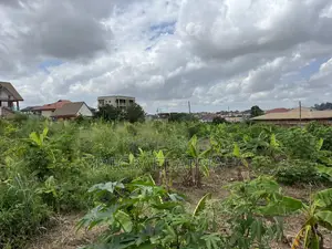 Well Located Acre Land (4 Plots) for Sale at Ipt, Denkyemuoso