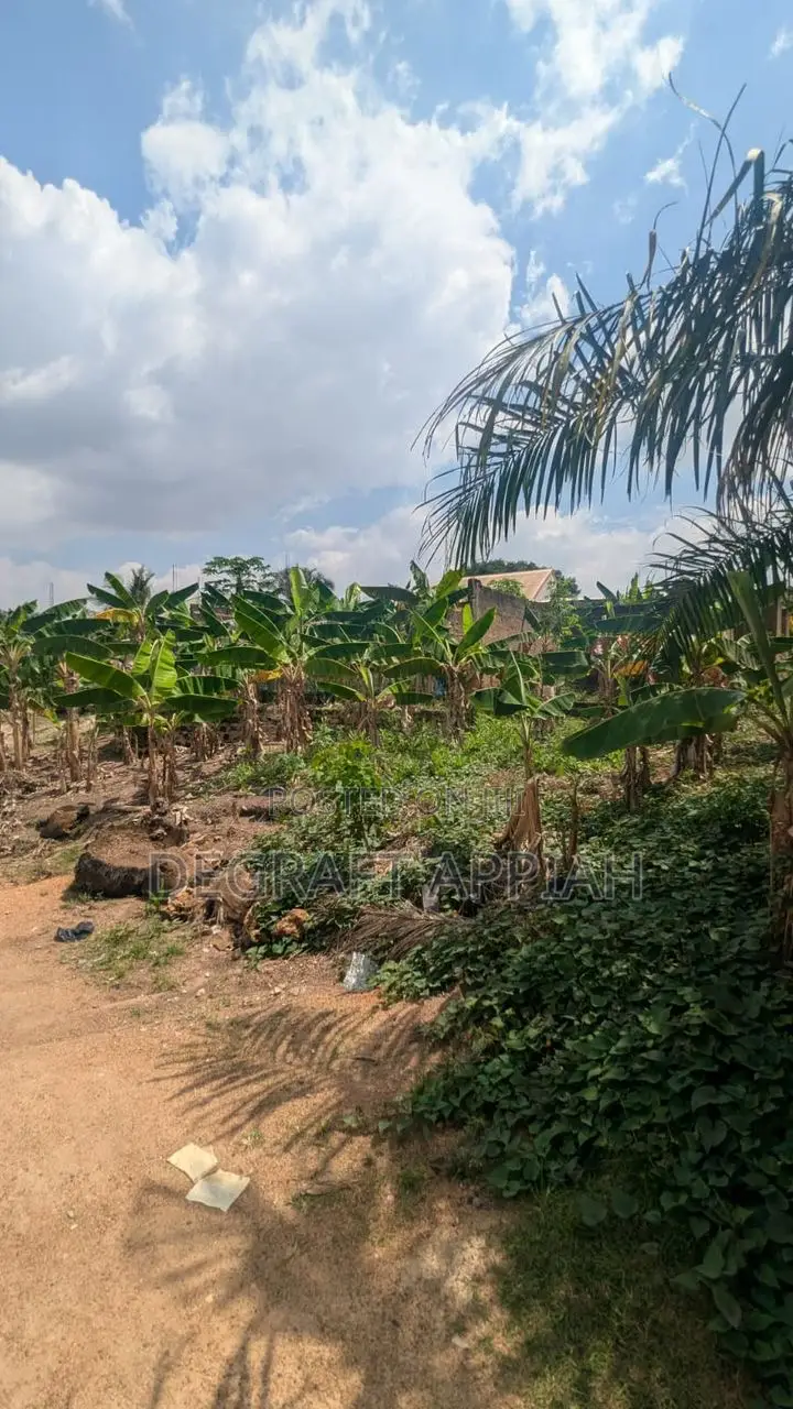 Well Located Acre Land (4 Plots) for Sale at Ipt, Denkyemuoso