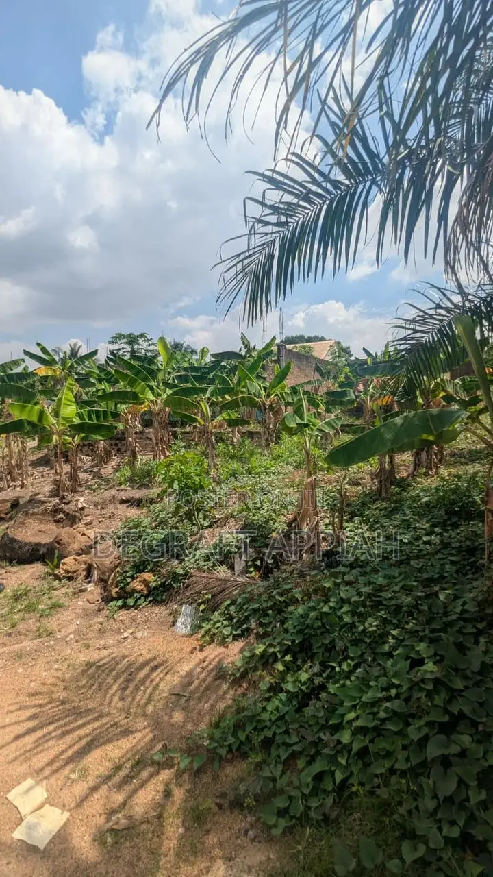 Well Located Acre Land (4 Plots) for Sale at Ipt, Denkyemuoso