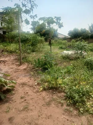 2 Plots of Land at McCarthy Hills for Sale