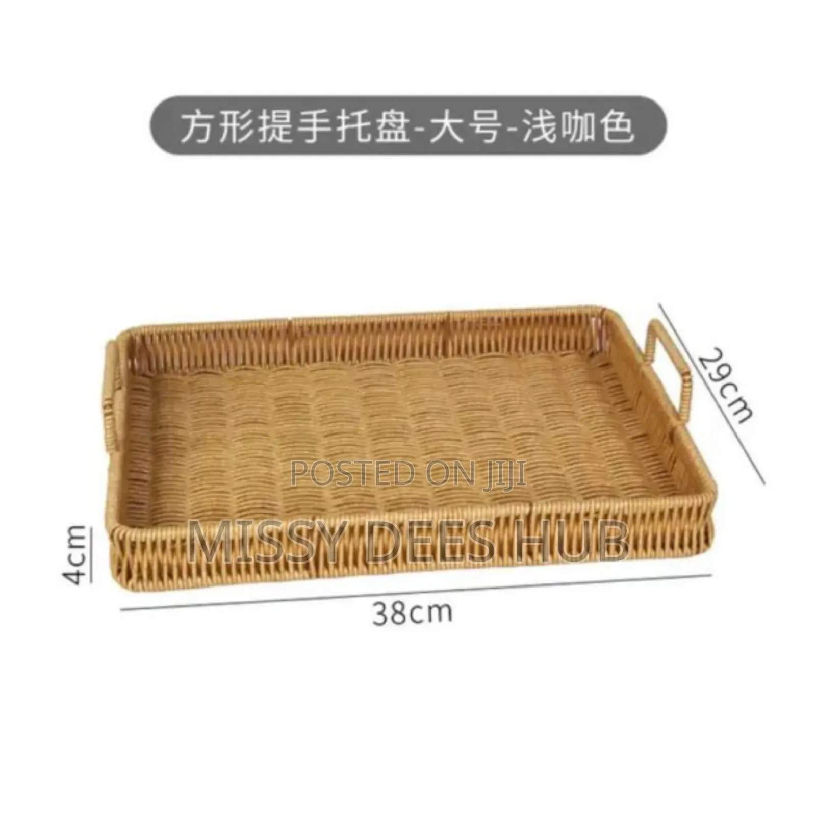 Multipurpose Woven Trays