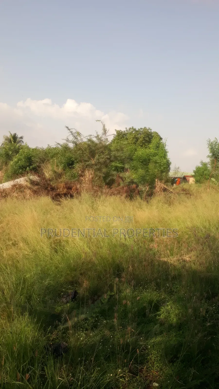 4 Plots of Land for Sale at Akuapim