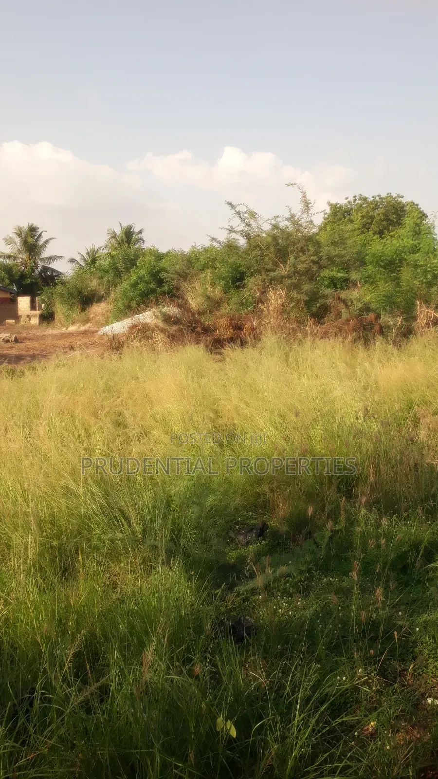 4 Plots of Land for Sale at Akuapim